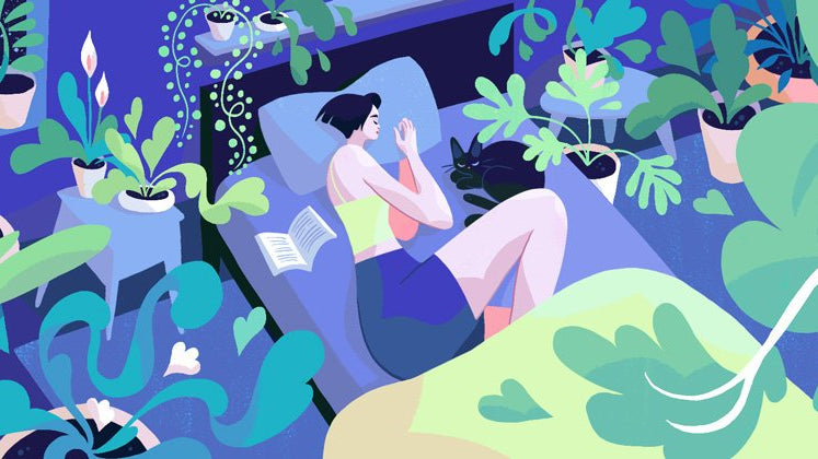 Visual Artist Update: August 2018 - VINYL MOON