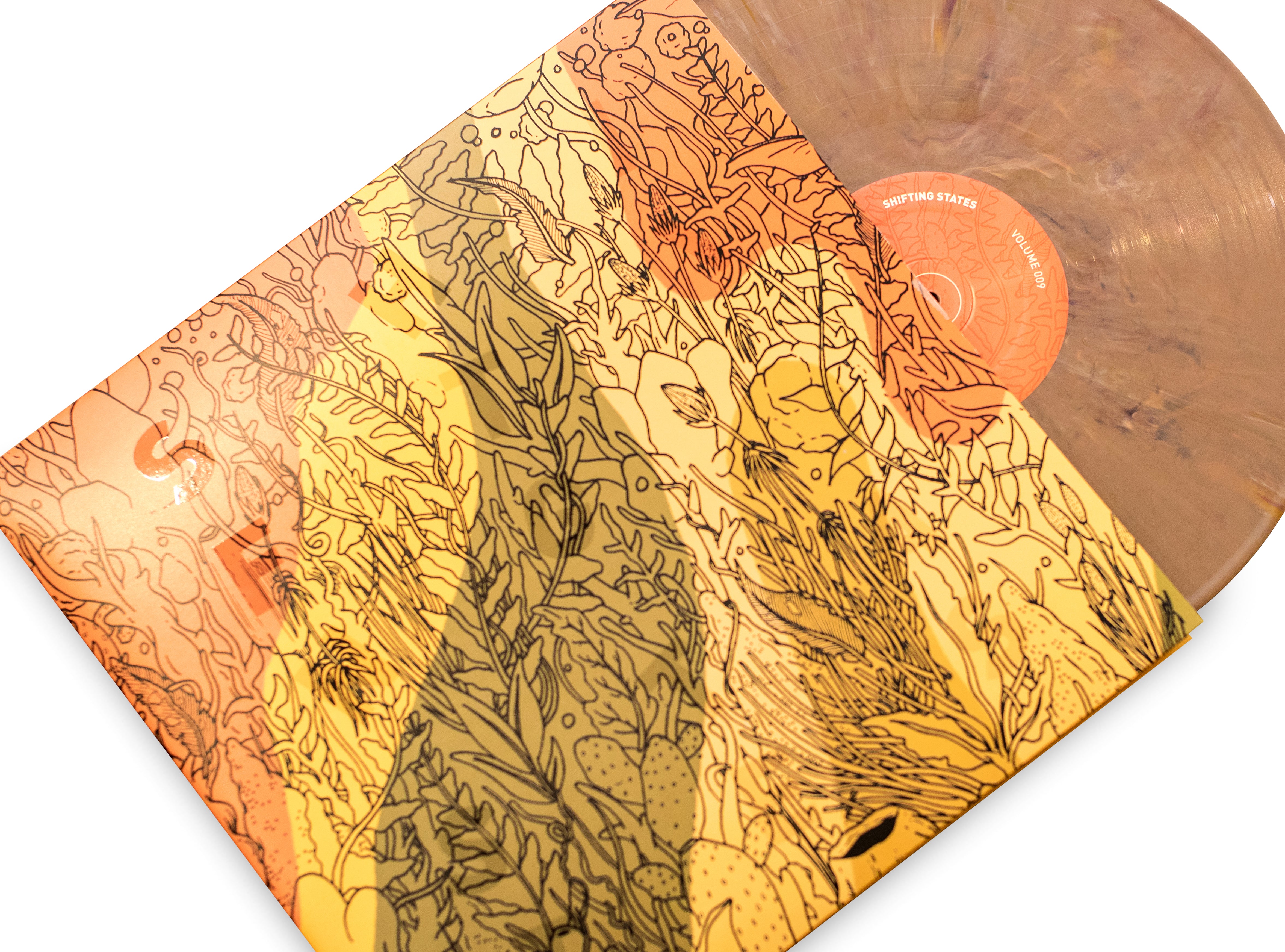 ヴァイナル　カレン·ベス[ニュー·ムーン·ライジング] KAREN BETHNew Moon Rising (LP) - パライソレコード