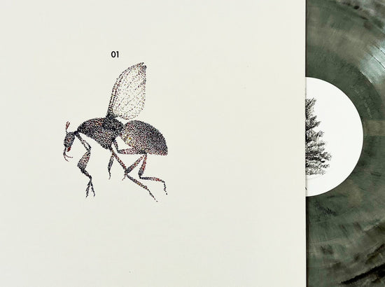 Load image into Gallery viewer, Black Fly - 01 LP [VM Edition - Ltd. to 100]
