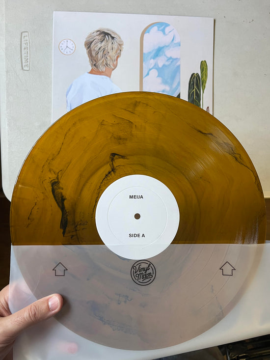 Vinyl Moon Inner Sleeves (100 pack) – VINYL MOON