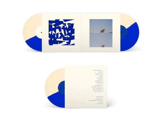 Geographer - Down and Out in the Garden of Earthly Delights 2xLP [VM Edition - Ltd. to 100] - VINYL MOON